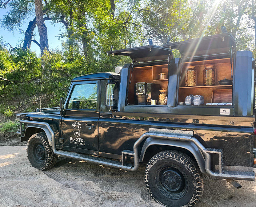 timbavati safari2